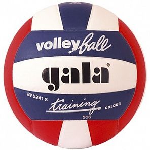Мяч волейбольный Gala Training Heavy